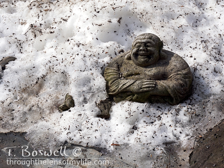 Buddha in dirty melting snow.