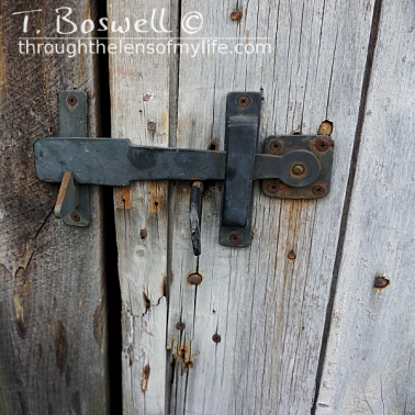 DSC07233-2-weathered-wood-ldoor-latch-1x1cp-terry-boswell-wm