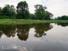 DSC01143-2cp-water reflections-walkill-river-summer-2015-terry-boswell-wm