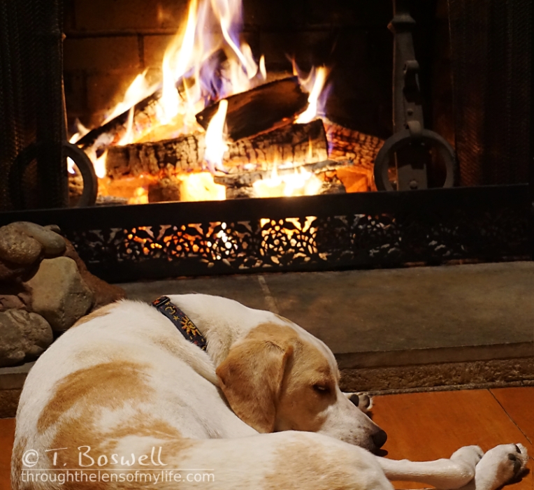 DSC07418-2cp-sleeping-dog-fireplace-terry-boswell-wm